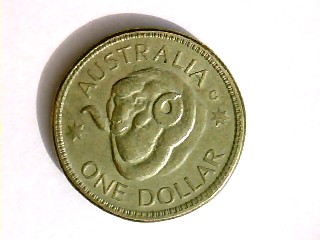 Noodling-Find-Of-The-Week?